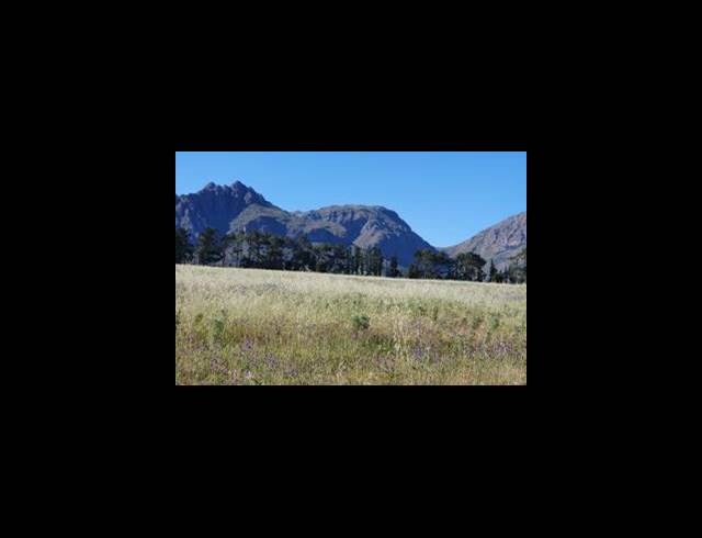 42HA FARM FOR SALE IN PAARL RURAL